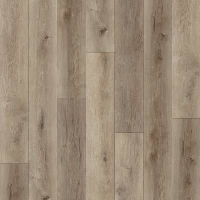 Kingdom Oak Classic